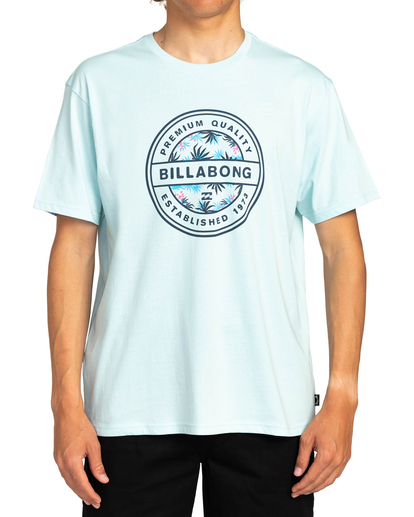 camisetas-billabong-473rnt-1.jpg